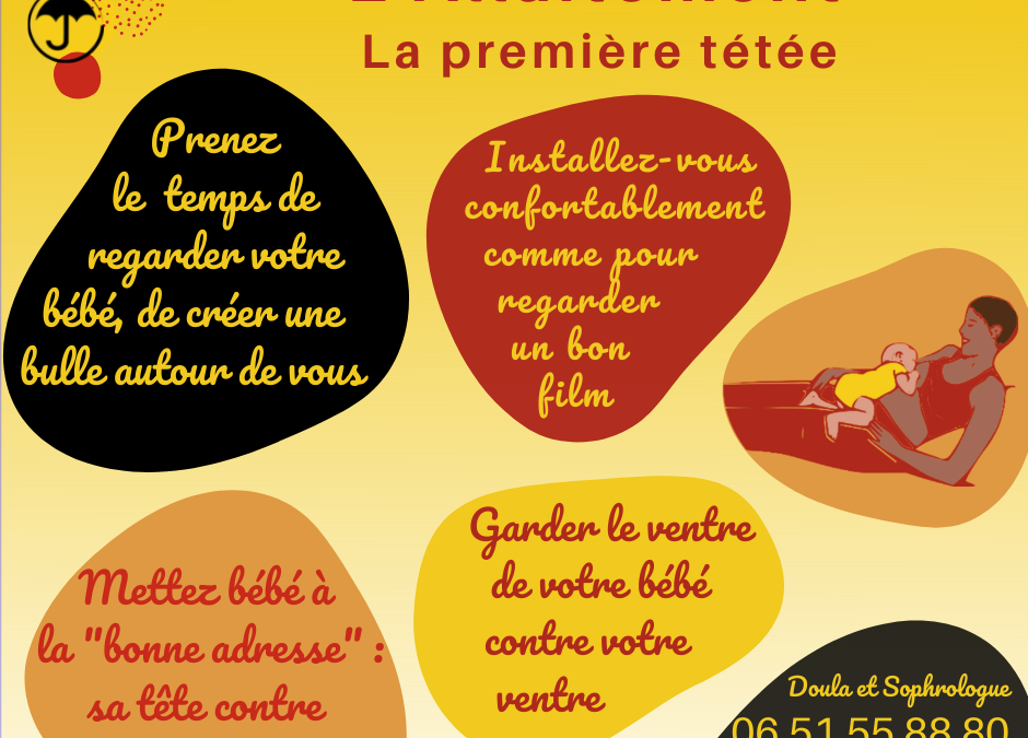 Allaitement – La première tétée