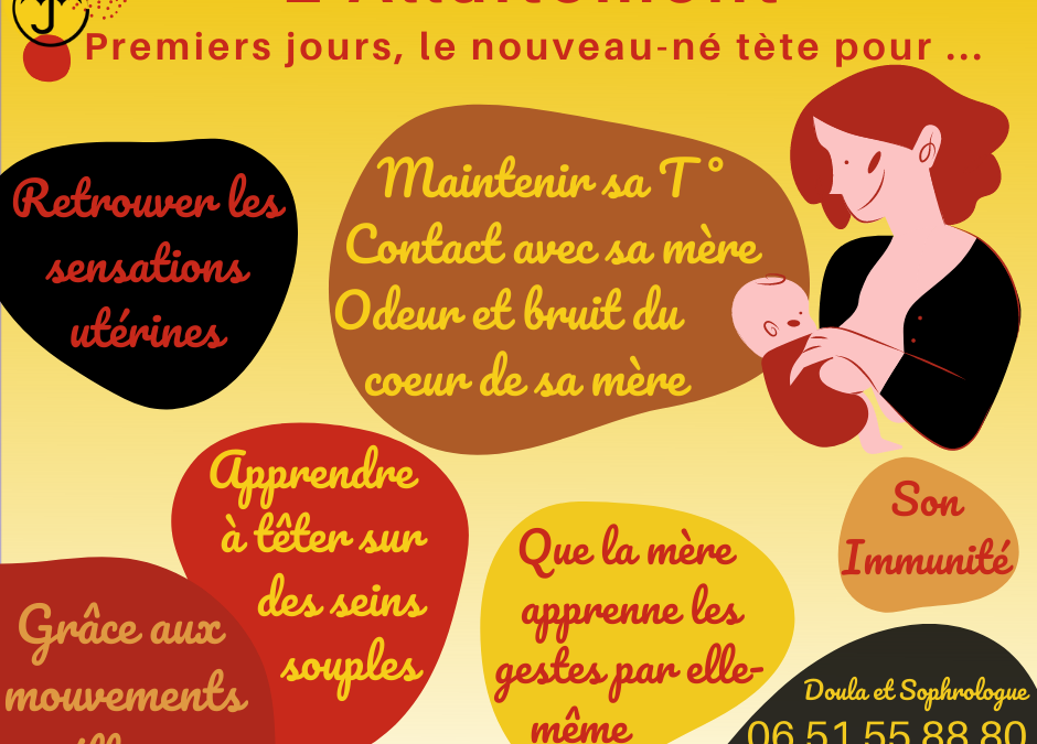 Allaitement – Les premiers jours, le bébé tète pour …